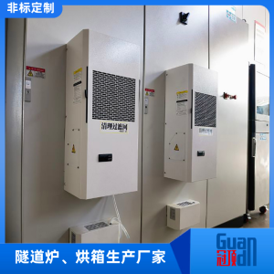 大型隧道炉烘干线 隧道式高温炉 烘干固化设备 冠顶厂家支持非标定制   1台