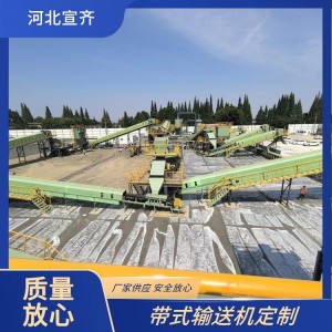 宣齐 矿用长距离转弯带式输送设备 应用广泛 适应性强 支持定制   1套